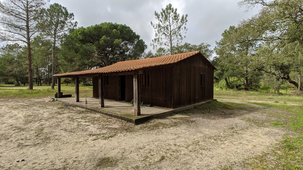 Sende Portugal